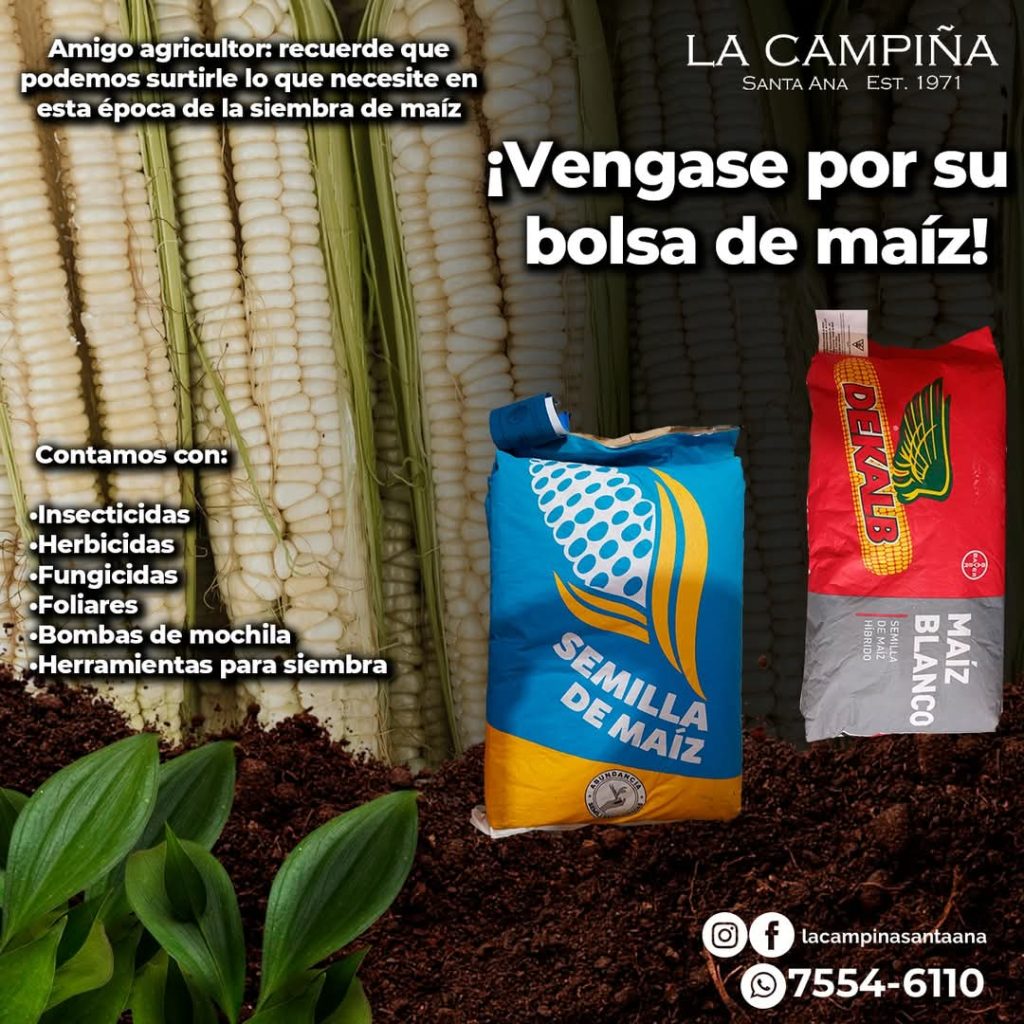 Venga por su bolsa de Maiz!